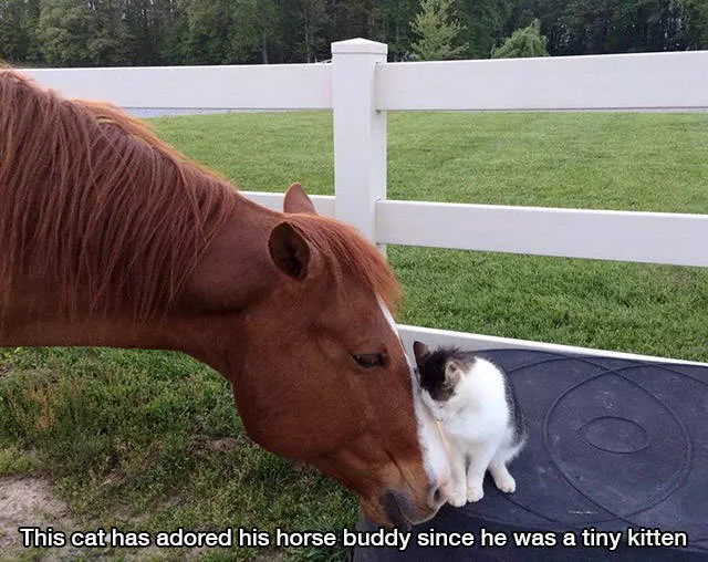 The most beautiful pictures in the world according to netizens - #39 