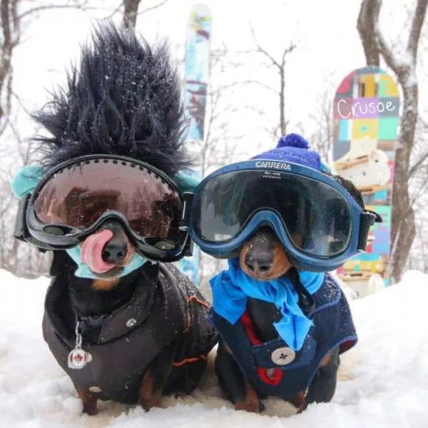 Picdump 220 - #37 