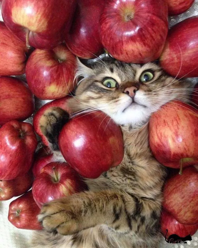 Picdump 220 - #57 