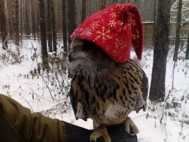 Picdump 220 - #59 
