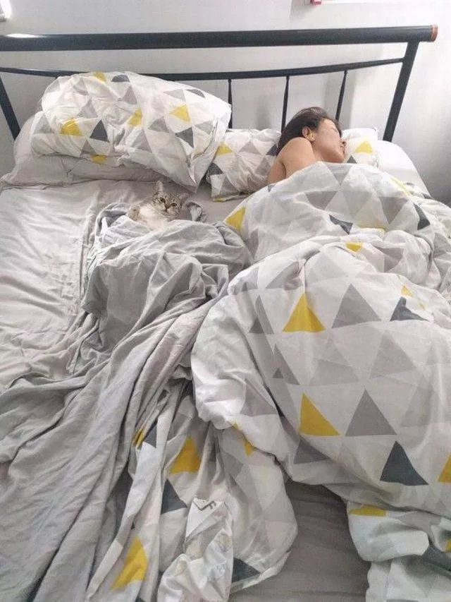 Picdump 220 - #78 