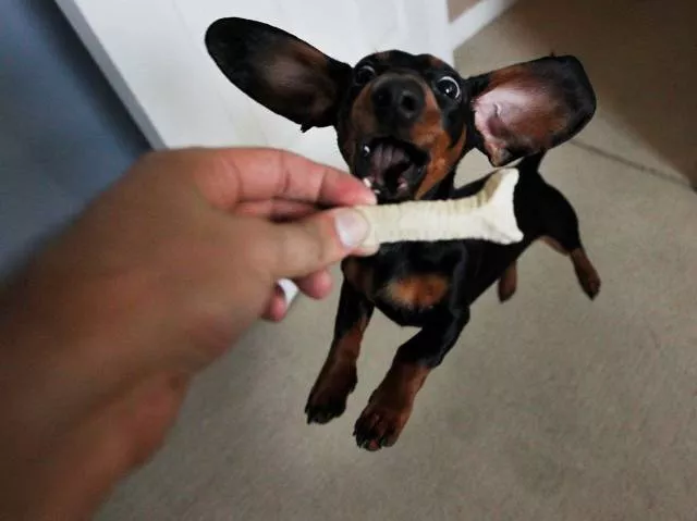 Picdump 221 - #19 