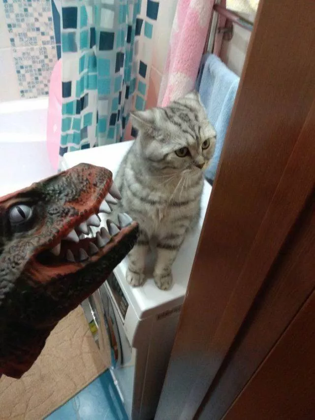 Picdump 221 - #76 