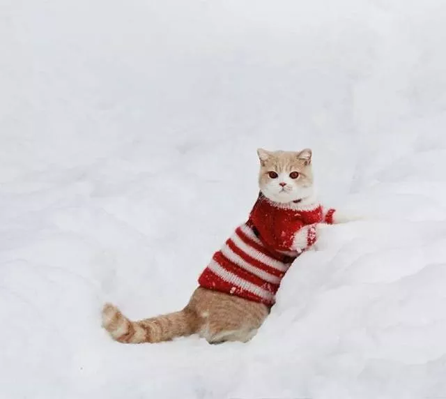 Picdump 221 - #80 