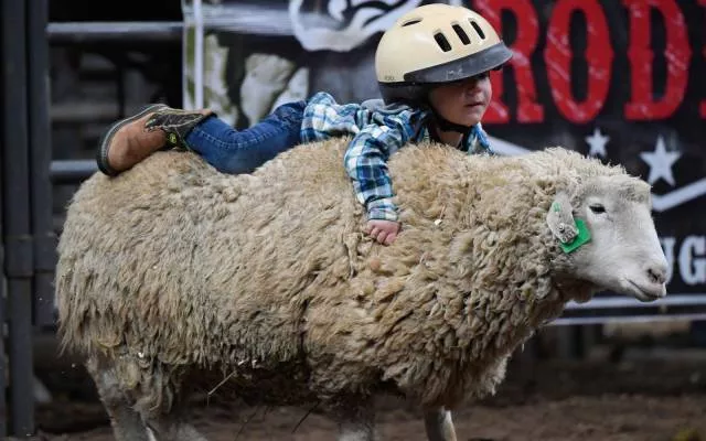 Picdump 221 - #81 