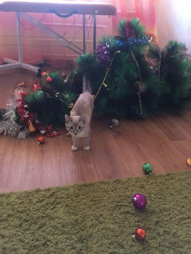 Picdump 221 - #95 