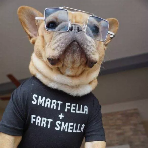 Picdump 221 - #97 