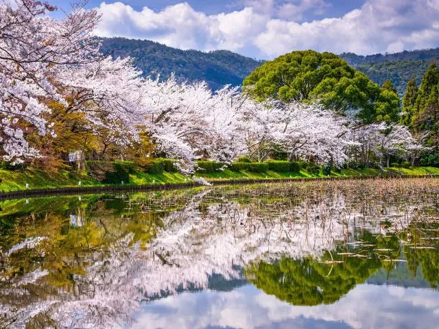 Les plus belles photos du monde entier - #10 