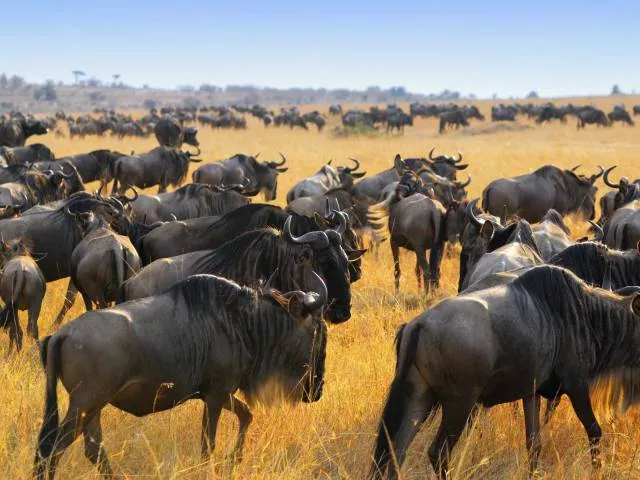 Les plus belles photos du monde entier - #3 