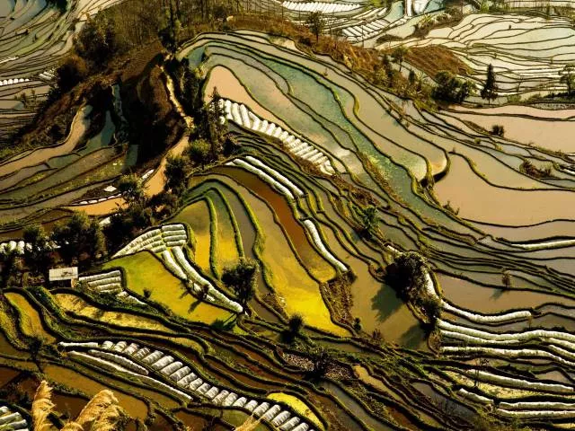 Les plus belles photos du monde entier - #34 
