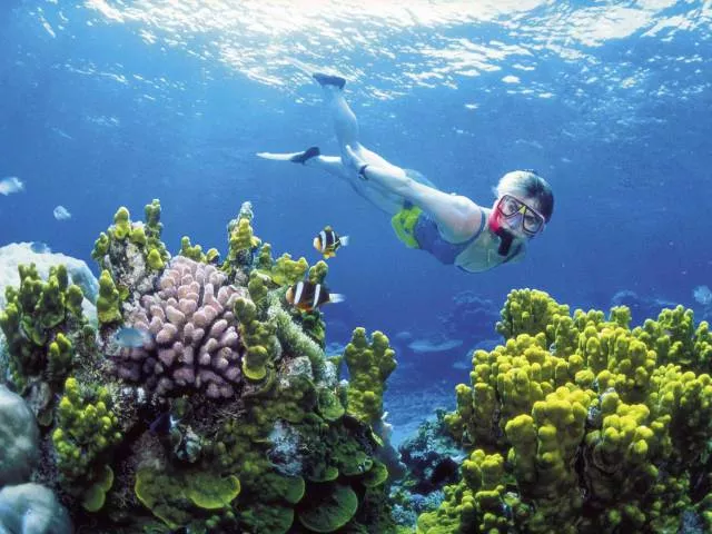 Les plus belles photos du monde entier - #36 