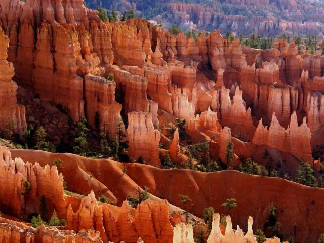 Les plus belles photos du monde entier - #48 