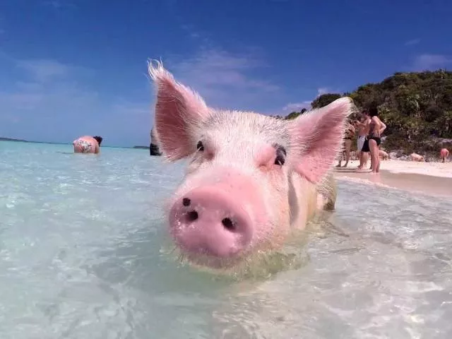 Les plus belles photos du monde entier - #5 