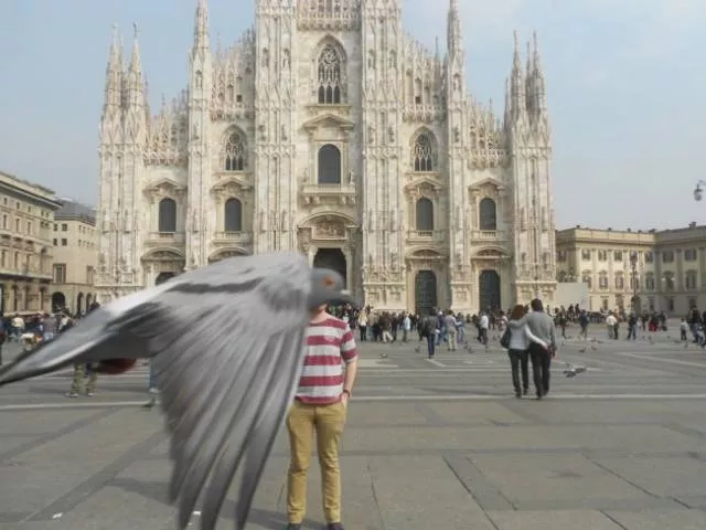 Animals are the kings of photobomb - #19 