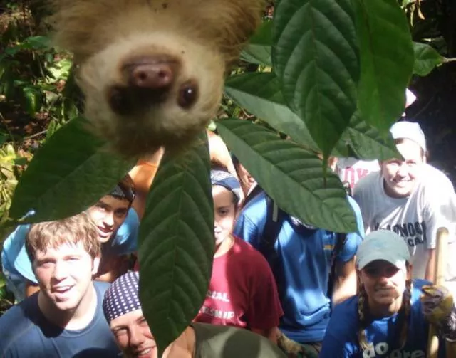 Les animaux sont les rois du photobomb - #2 