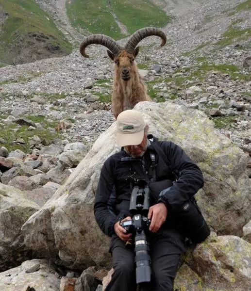 Les animaux sont les rois du photobomb - #24 