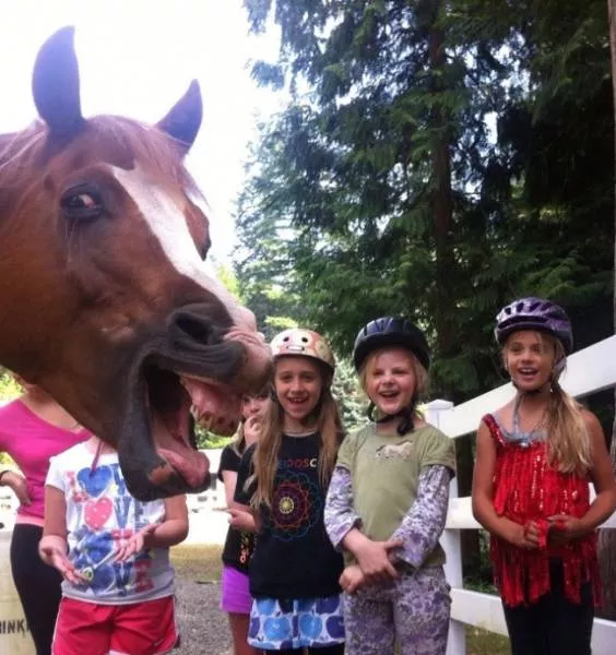 Animals are the kings of photobomb - #7 