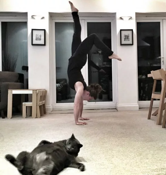 Animals are the kings of photobomb - #9 
