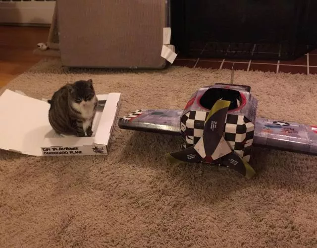 Picdump 222 - #10 