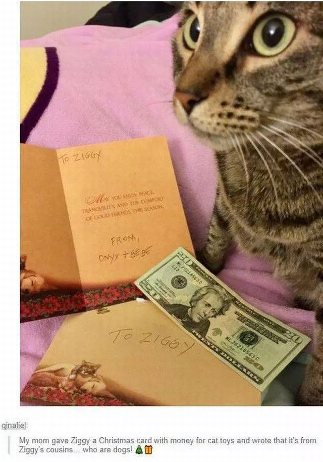 Picdump 222 - #18 