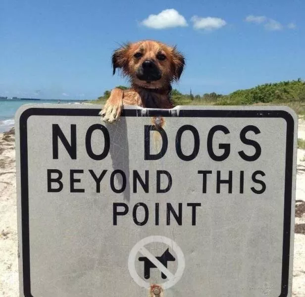 Picdump 222 - #22 