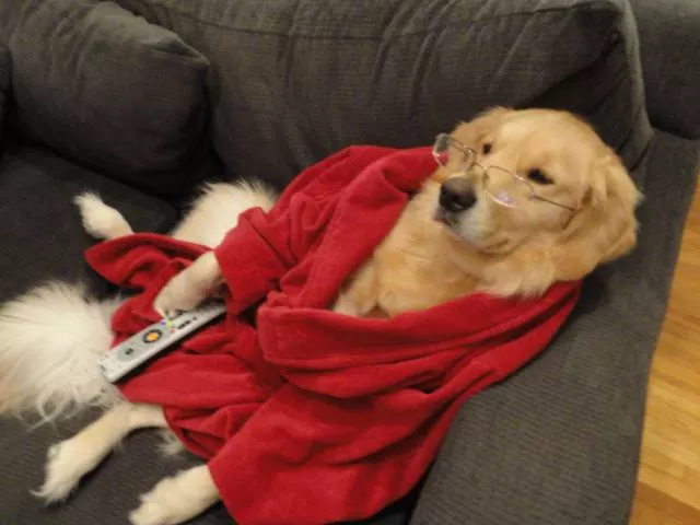 Picdump 222 - #38 