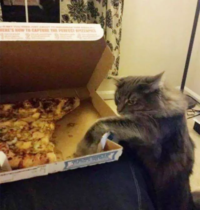 Picdump 222 - #41 