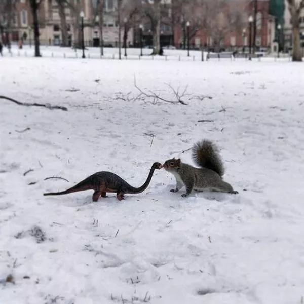 Picdump 222 - #46 