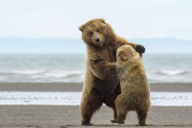 Picdump 222 - #67 