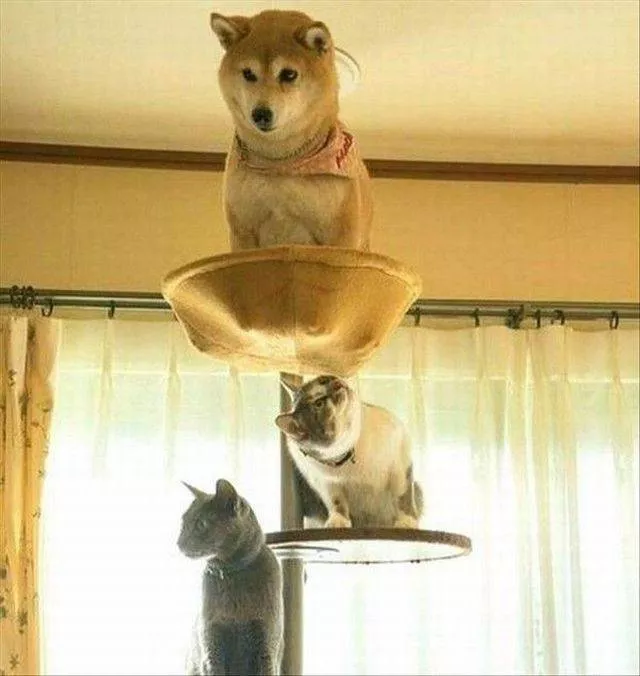 Picdump 222 - #80 
