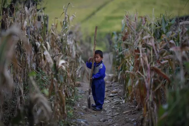 Childhood in north korea - #1 