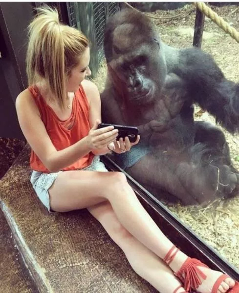 Perfect moment