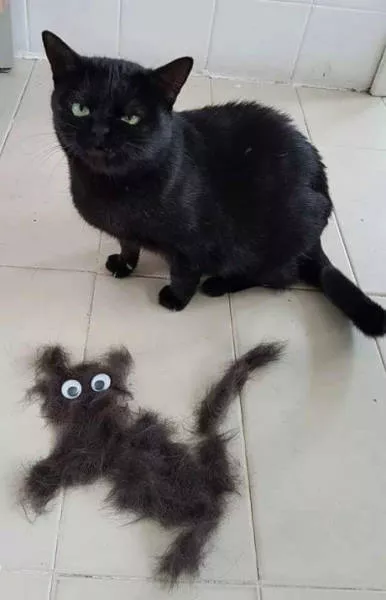 Picdump 223 - #34 
