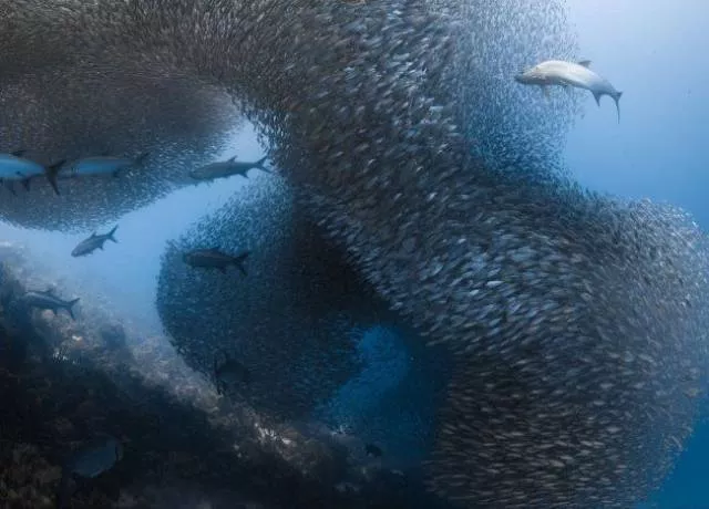 Top des photos les plus impressionnantes - #13 