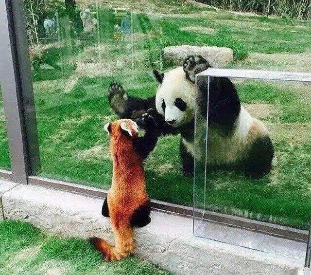 Top of the most impressive photos - #14 