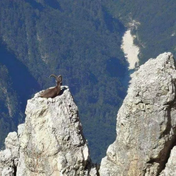 Top des photos les plus impressionnantes - #17 