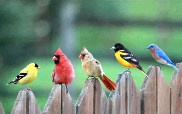 Top des photos les plus impressionnantes - #18 