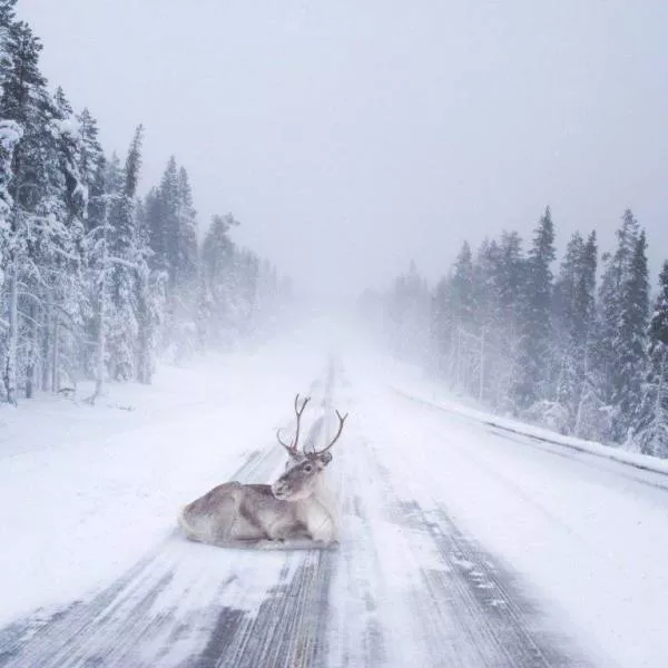 Top of the most impressive photos - #2 