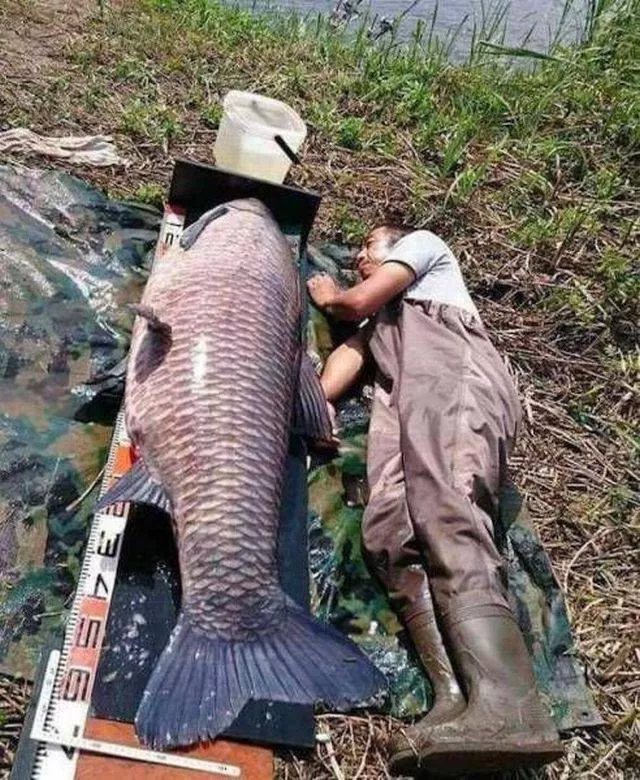 Top des photos les plus impressionnantes - #26 