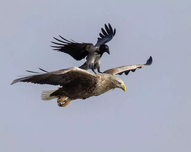 Top of the most impressive photos