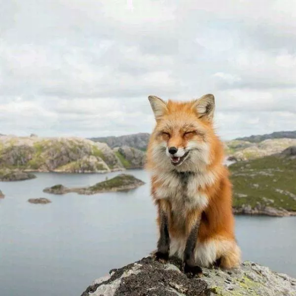Top of the most impressive photos - #3 