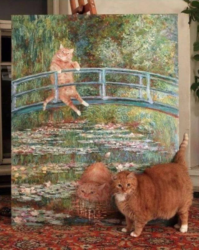 Top of the most impressive photos - #31 