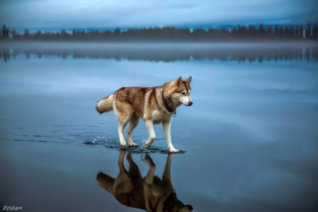 Top des photos les plus impressionnantes - #33 