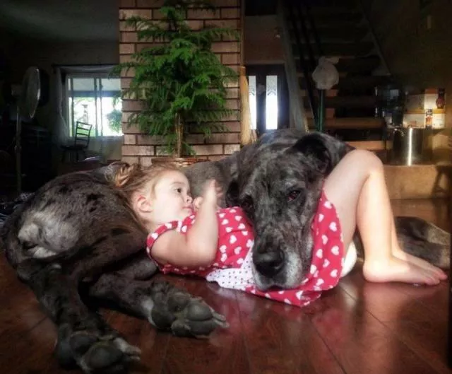 Top des photos les plus impressionnantes - #35 