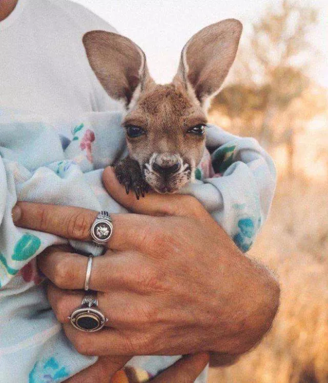 Top des photos les plus impressionnantes - #38 