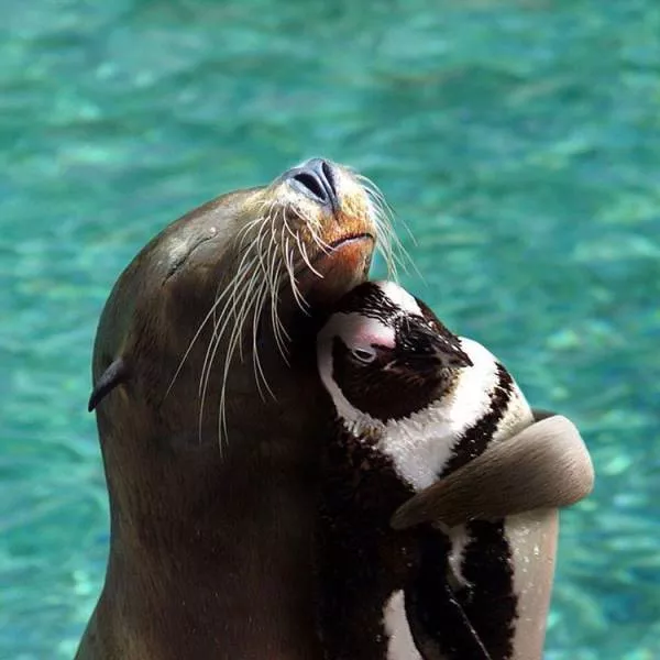 Top des photos les plus impressionnantes - #40 