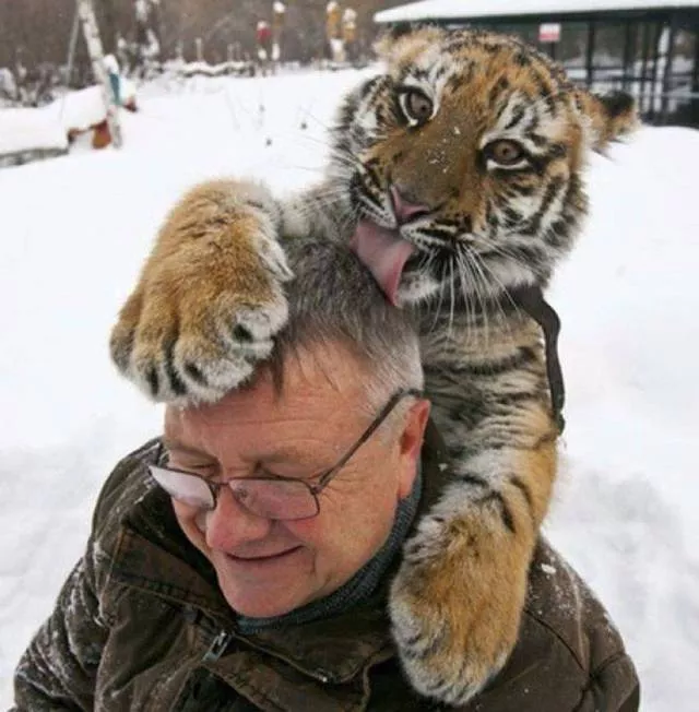 Top des photos les plus impressionnantes - #41 