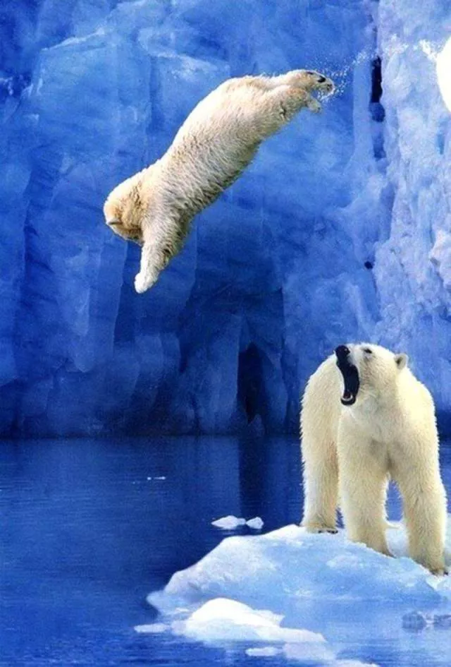 Top of the most impressive photos - #42 