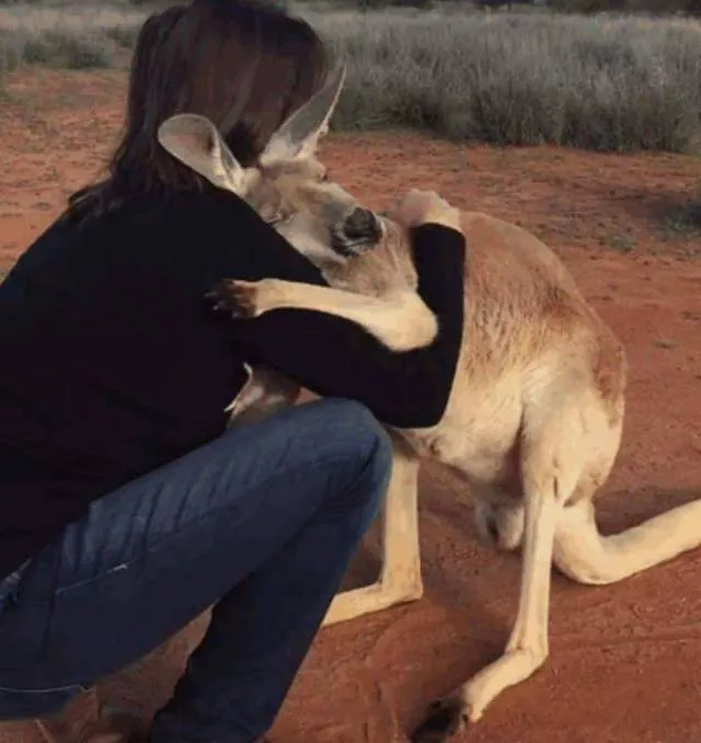 Top des photos les plus impressionnantes - #55 