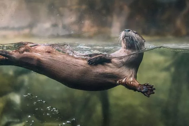 Top des photos les plus impressionnantes - #57 